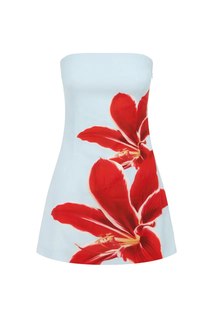 Red Lily | Vestido mini Primrose