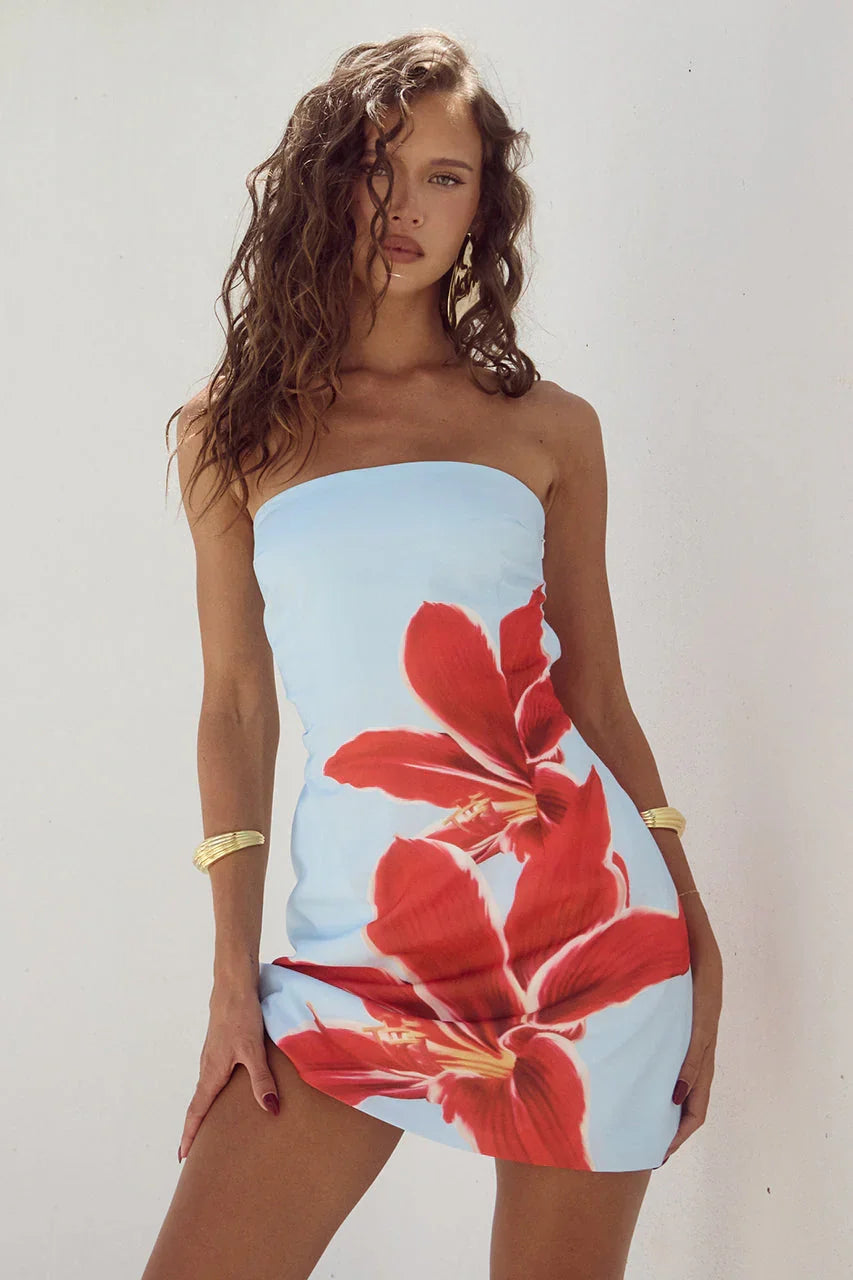 Red Lily | Vestido mini Primrose